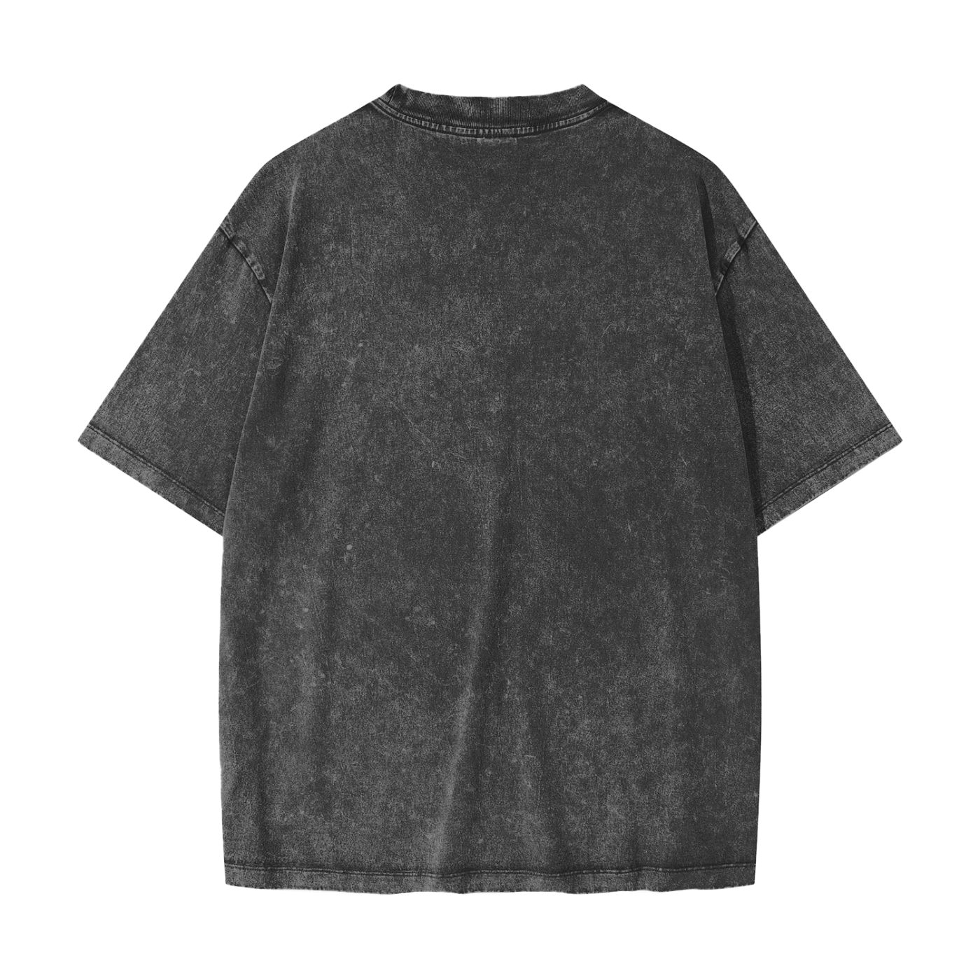 Classic Peptide Plug Heavyweight Snow Washed T-Shirt